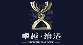 卓越维港南区大型千亿球友会工程