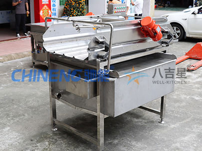 大型果蔬涡流清洗线实拍图